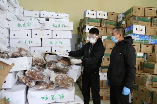 二連浩特市市場監(jiān)管局強化進口冷鏈食品監(jiān)管，筑牢疫情防控安全防線